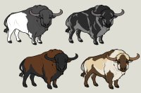Buffalo markings