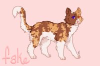 entry 6 - cinnamon tortoiseshell [red spotted tabby] w