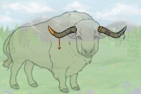 Buffalo Event Horns 1