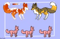 Fox breeding for SilentFox18