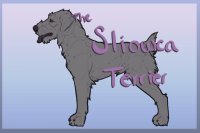 Sliowca Terrier Association