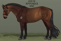 Silver Fox Appendix Horses - v.2