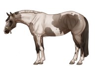 Palisdale Roping Horse #088