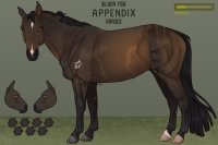 Silver Fox Appendix Horses - v.3 MAIN