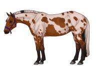 Palisdale Roping Horse #093