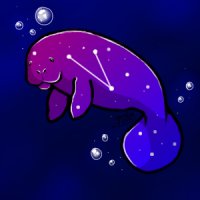 galaxy manatee avatar