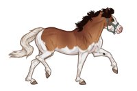 Ferox Welsh Pony #038