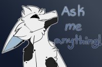 Ask me anything!