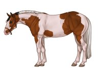 Palisdale Roping Horse #096