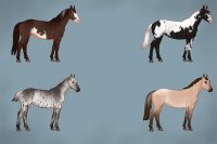 Can't Sleep? Make horses Can't Sleep? Make horses