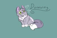 Dovewing 💖