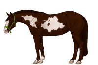 Palisdale Roping Horse #103