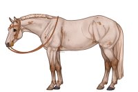 Palisade Roping Horse #108