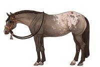 Palisade Roping Horse #111