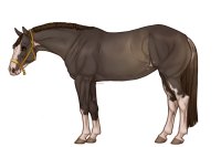 Palisade Roping Horse #119
