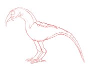 Bird Like Creature Sketch - For Sale - 80.C$