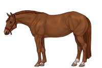 Palisdale Roping Horse #126