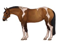 Palisade Roping Horse #127