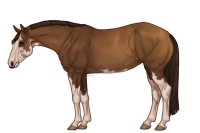 Palisade Roping Horse #131