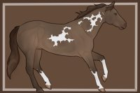 Cumberland Stock Pony #0002 || UFA