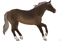 Cumberland Stock Pony #0004
