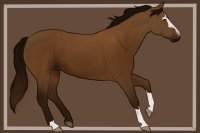 Cumberland Stock Pony #0005 || UFA