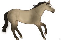 Cumberland Stock Pony #0006