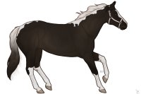 Cumberland Stock Pony #0007