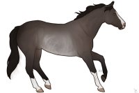 Cumberland Stock Pony #0008