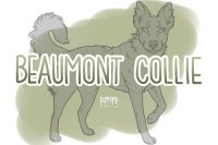 Beaumont Collie Anniversary MYO Event - Closed!