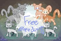 ! FREE Cat Breedings ! [closed]