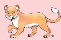 Lioness For Sale