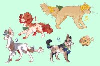 fluffy floral adopts silent auction (closed)
