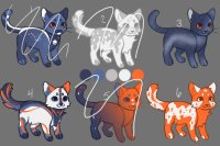 color scheme kitty adopts