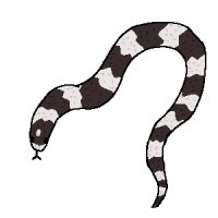 snake friend