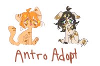 Anthro adopts