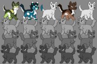 Canine Adopts 20/20 Open