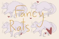 Fancy Rats | Semi-Personal Page