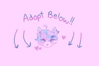 kitty adopt closed