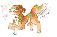 Rainbow Dog Adopt