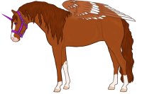 Andaluz Sport Horse #001