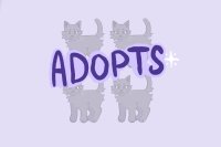 Cat Adopts Hub ♥