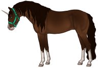 Andaluz Sport Horse #002