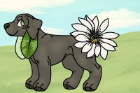 Flora Pup CUSTOM #02 🌱
