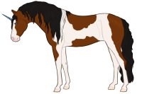 Andaluz Sport Horse #007