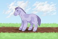 Little purple pony <3