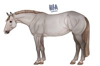 Palisade Roping Horse #157 Palisade Roping Horse #157