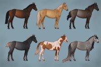 ISO Advent Outcomes - Trading Pony OCs ISO Advent Outcomes - Trading Pony OCs