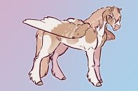 pangare pegasus pangare pegasus