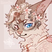 for quiche cat! for quiche cat!